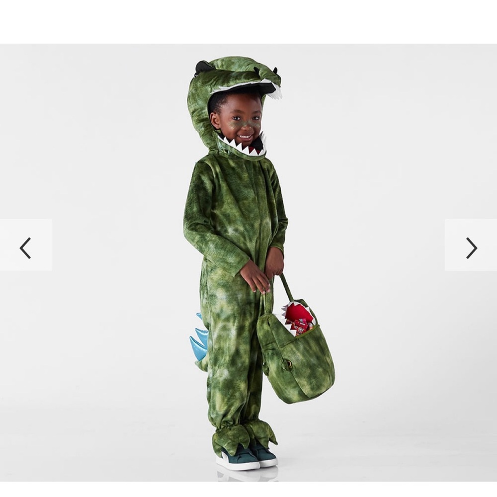 Pottery Barn Kids T Rex Costume and Treat Bag